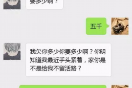 云县工资清欠服务